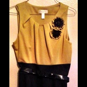 Dress barn, Green and black dress- Size 4