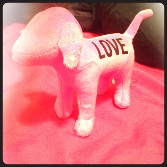 Purple Victorias Secret dog!!