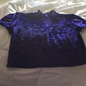 Purple Velvet Crop Top