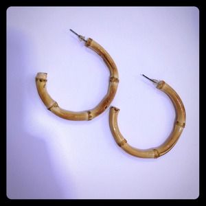 Wood hoop earrings