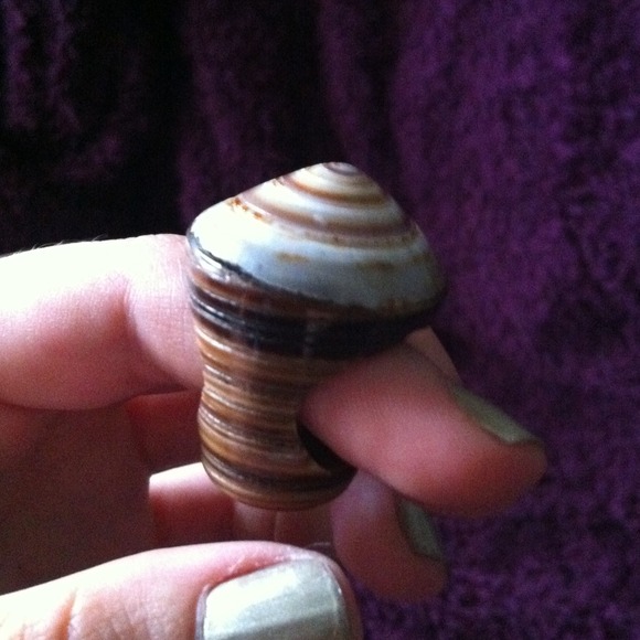 Seashell Ring - Picture 4 of 4