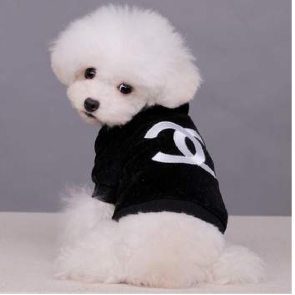 Chanel velour hoodie