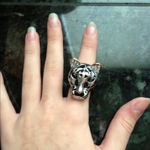 Big Cat Bling Ring!