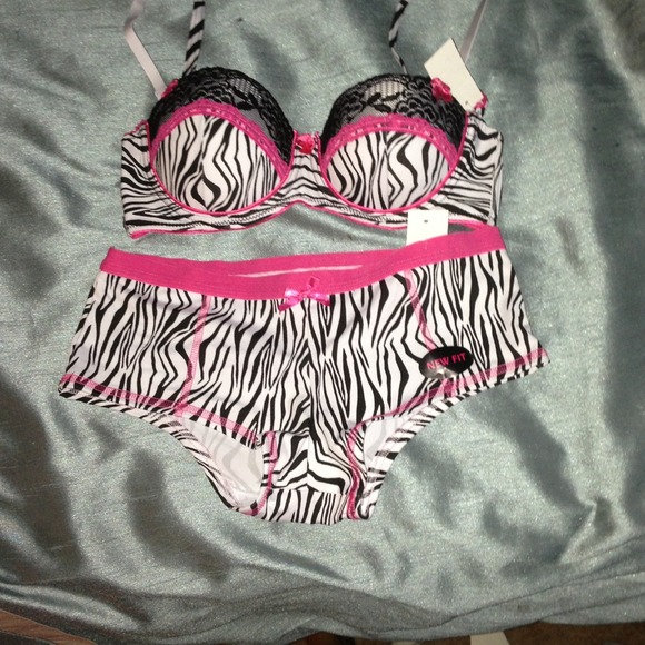 Zebra and pink bra&panty set NWT