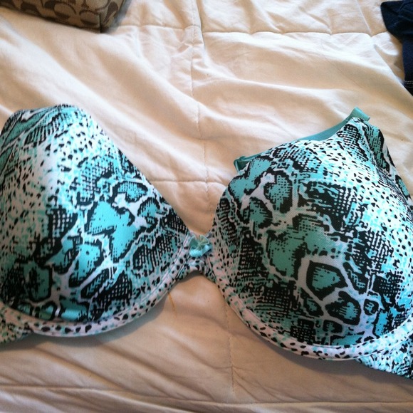 36d bra