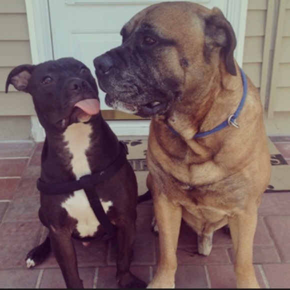 meet your seller/customer 😊 - Picture 3 of 4