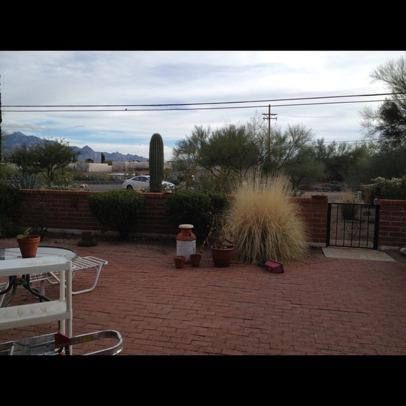 Meet & Greet Arizona! Lets Have 3 Parties!🎉👏💃 - Picture 2 of 4