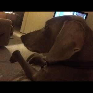 My Posh assistant & BFF