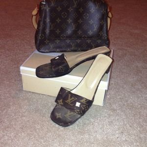 Louis Vuitton Purse and matching sandals