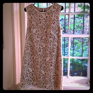 Ann Taylor Loft dress! Worn once! Gorgeous detail!