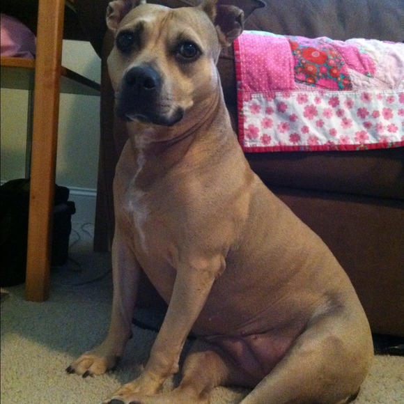 feedback please!!! - Picture 3 of 3