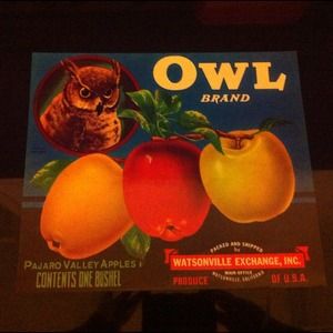 💙Sold💙 Vintage Crate Label Beautiful Owl/ Fruit