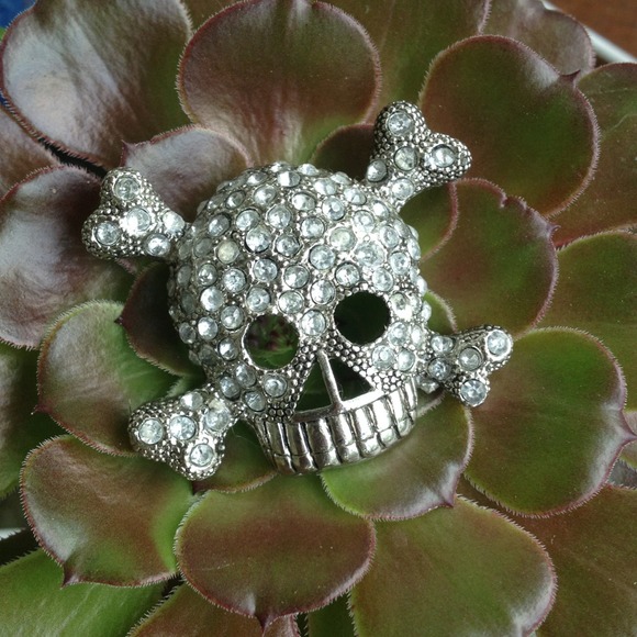 Skull and Crossbones Broach Pin