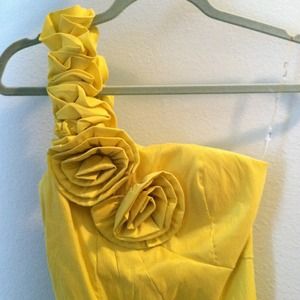 Fantastic Flower Detail Yellow/Chartreuse Dress