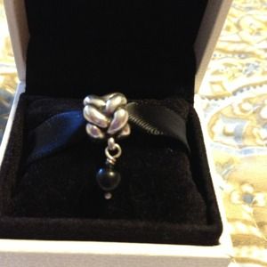 Traded 2 pandora charms onyx and posies