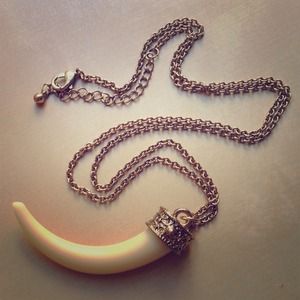 Horn necklace