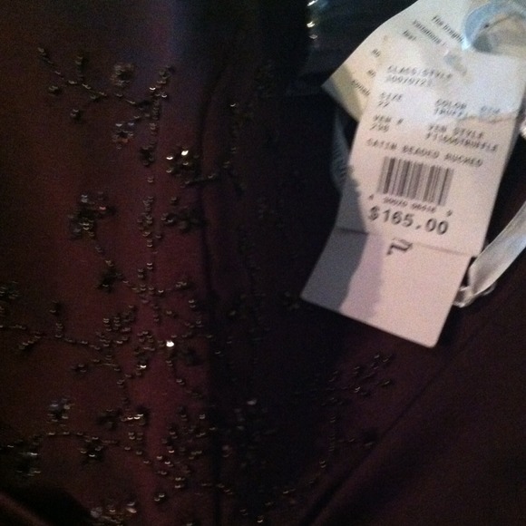 bag, shawl,color dark brown ,size 22,new .