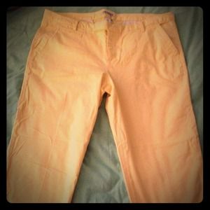 Express chino pant