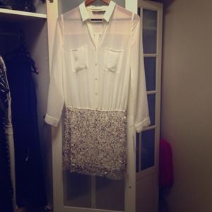 Zara sequin bottomed dress