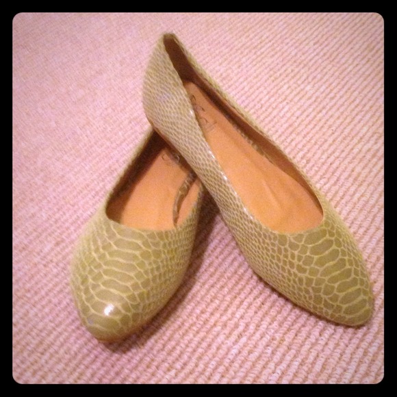 Flat shoes ! Beautiful , Brand new !