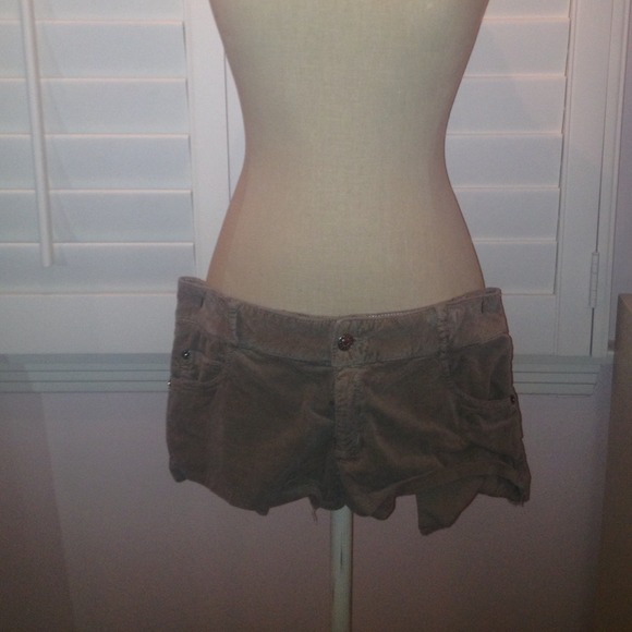 Taupe Velvet Shorts