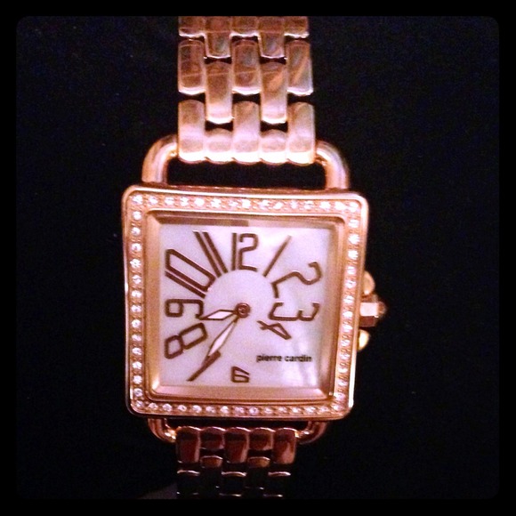 Brand new authentic Pierre Cardin watch