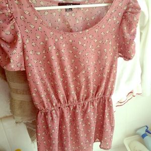 Birds for days top 🐦