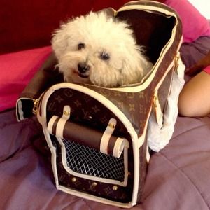 🎉FINAL REDUCTION🎉 New Monogram Pet Carrier