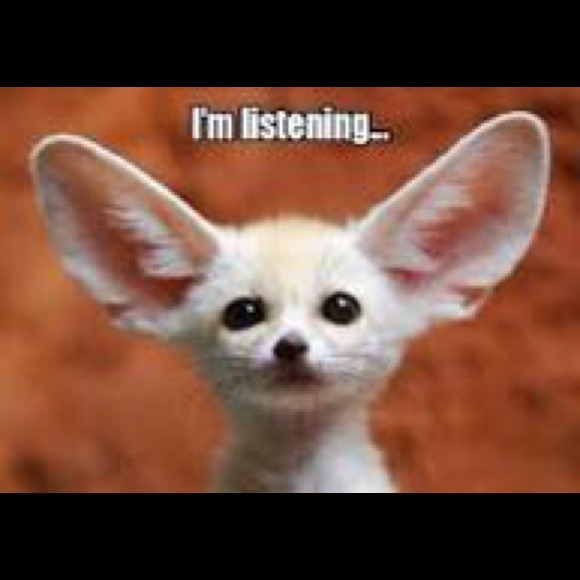 Feedback - Picture 2 of 2