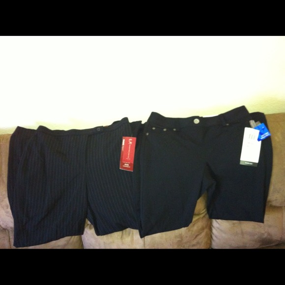 Dress pants