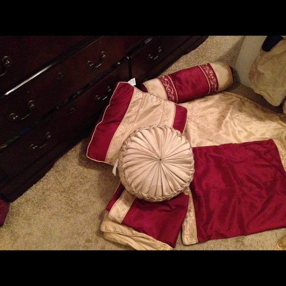 đź’˘SOLDđź’˘Gorgeous Queen Bedding - Picture 4 of 4