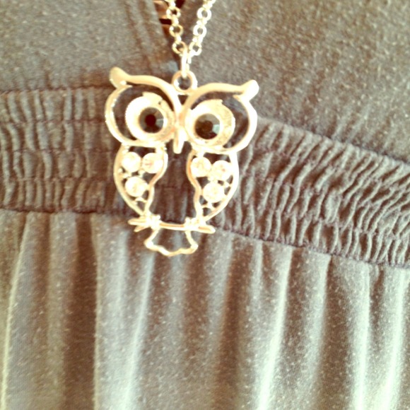 🌹SOLD🌹Owl Necklace