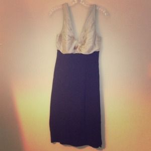 Beautiful Dina Barr Dress!