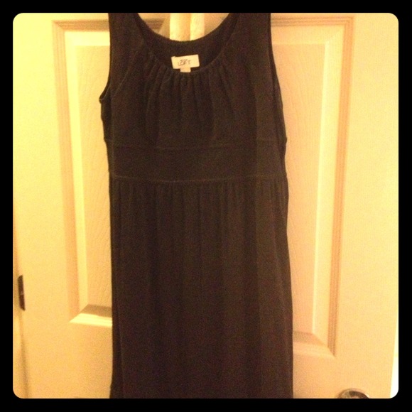 Ann Taylor Loft dress
