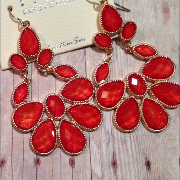 Gorgeous red earrings