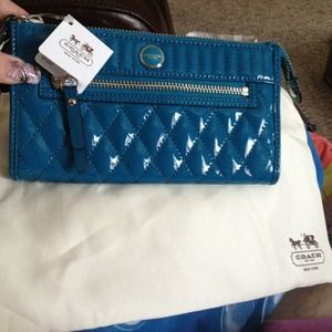 Coach pop liquid gloss clutch