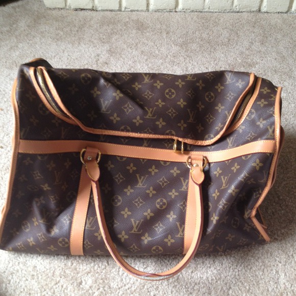 Inspired Louis Vuitton pet carrier