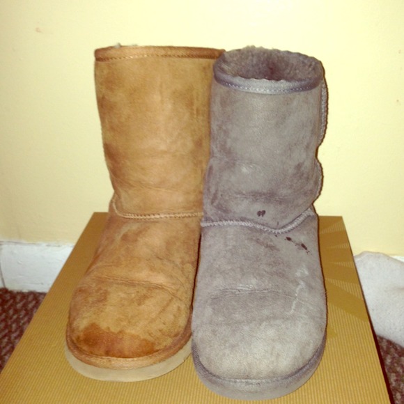 Grey & chestnut Uggs