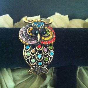BEAUTIFUL.. MulitColor Owl Braclet
