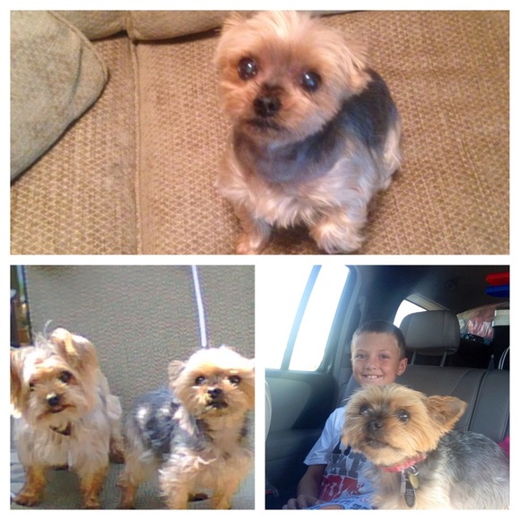 🌴🌴Meet Your Posher, Sherleen🌴🌴 - Picture 2 of 4