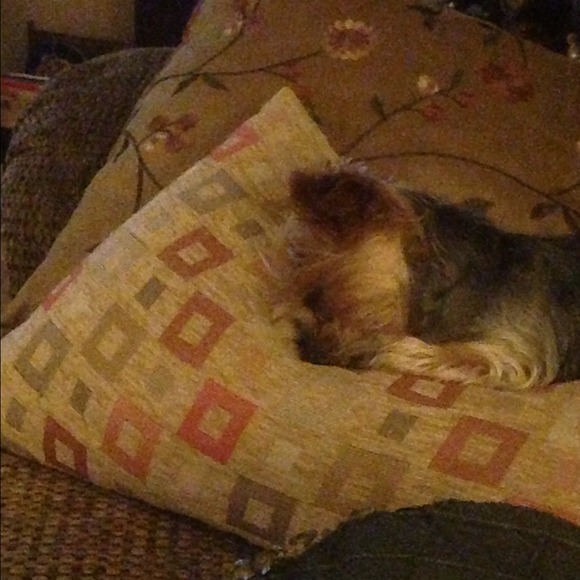 🌴🌴Meet Your Posher, Sherleen🌴🌴 - Picture 3 of 4