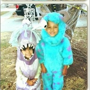 Sully Costume Disney Store Monsters Inc.