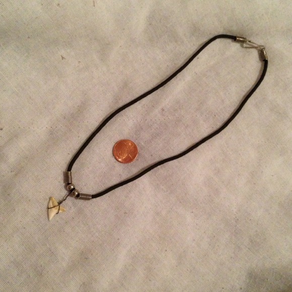 Shark tooth necklace