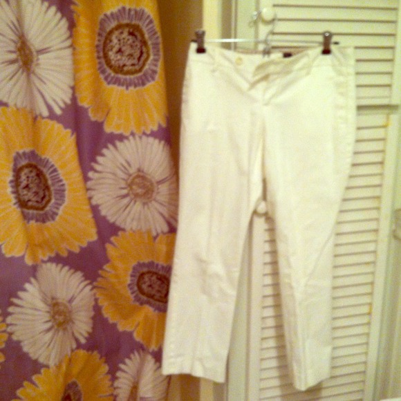 Banan Republic Stylish Capri - Picture 1 of 1