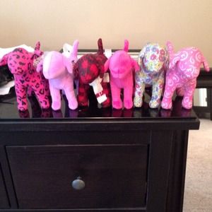 VS Pink Dogs 🐶💗