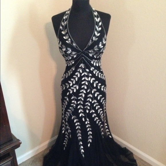 Gorgeous Detailed Prom or Formal Dress!