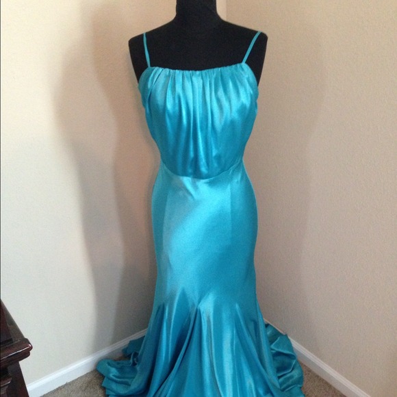 Gorgeous Prom or Formal Dress!