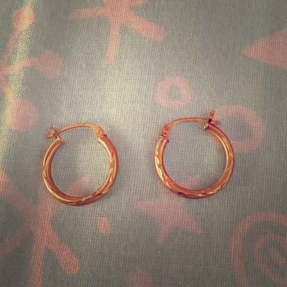 Small 10 karat gold hoop earrings