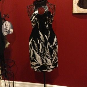 Trendy collared black and white Bebe dress