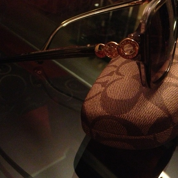 Coach Sunglasses Model HC 8009 - Picture 3 of 3